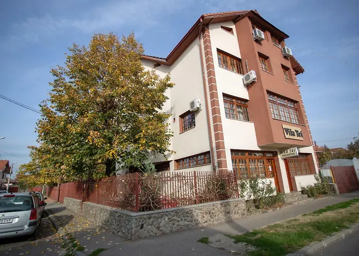 Vila Tei Guesthouse Târgu Jiu